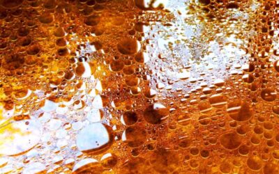 10 Reasons Why You Should Never Pour Grease Down the Drain