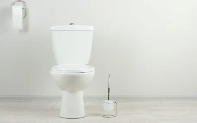 Common Toilet Problems That Require a Professional Plumber
